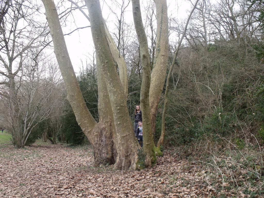 Camping Des Ribieres Confolens Esterno foto